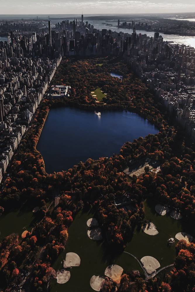 envyavenue:  A Slice of NY by Anthony Fields.