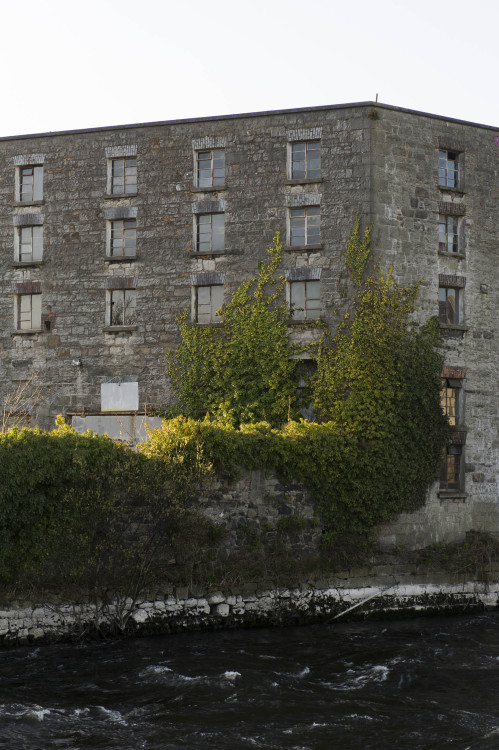 Ireland, Part Two.Galway, and Dunguaire Castle.Nikon D3s, 24-70 f/2.8