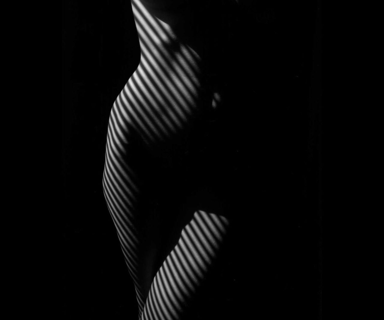 Gorgeous Zebra-Stripped Female Nudes
The light coming from the window blinds casts striped patterned on these bodies. It is the perfect balance of light and shadow over the curvature of the hips, buttocks, and breasts—gracefully highlighting female...