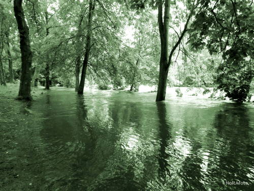 Hochwasser der Rur in Düren (Juli 2021)NoltAfoto