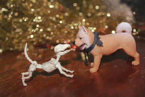 Hi Dog, Im Bony Dog