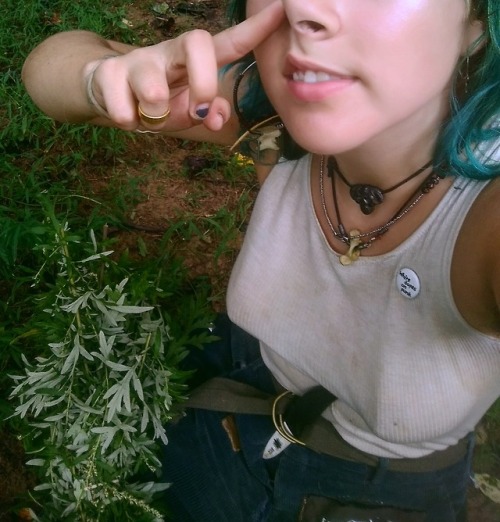 I showed u my herbs, please respond