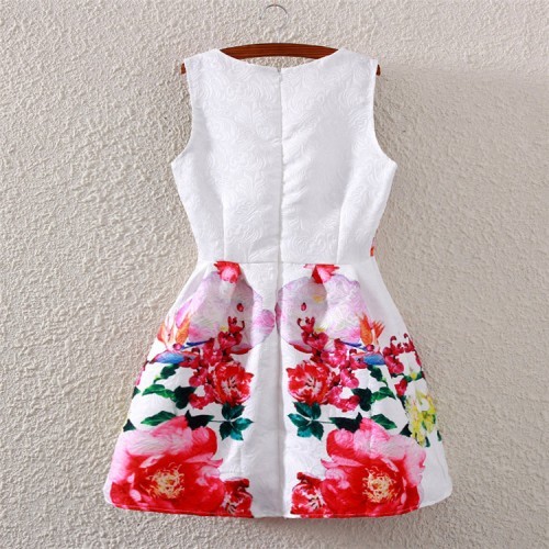 Multicolor Vintage Crew Neck Sleeveless Dress