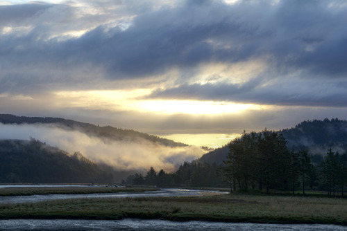 russell-tomlin:
“Morning Fog and Cloud and Shadow and Light up the Alsea River
”