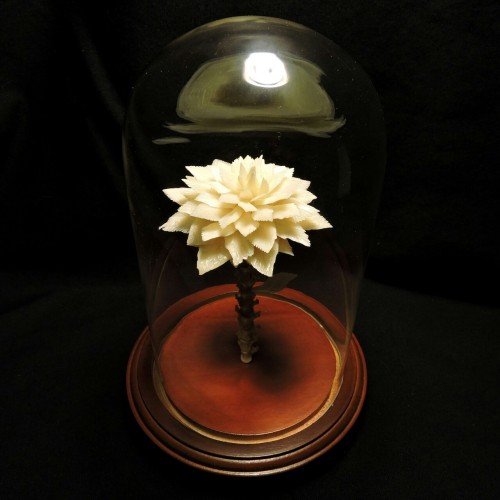 forgottenboneyard:  Bone flower with vertebrae stem mounted under a glass dome. Although I plan to make a few more of these this was a custom order. To inquire about a custom order of your own contact me at forgottenboneyard@gmail.com