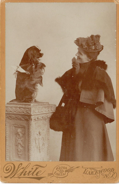 beggars-opera:Victorians/Edwardians playing with their dogs!