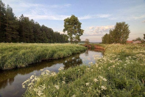 gokusluvr - .