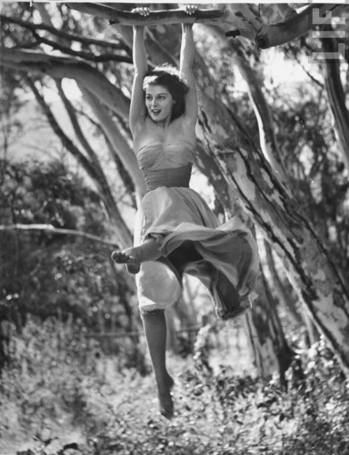 kvetchlandia:Pierre Boulat      Pier Angeli 