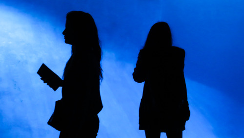 Silhouettes in an aquarium