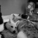 katiiie-lynn:mossyoakmaster:katiiie-lynn:Bedtime cuddles with our sweet, adorable
