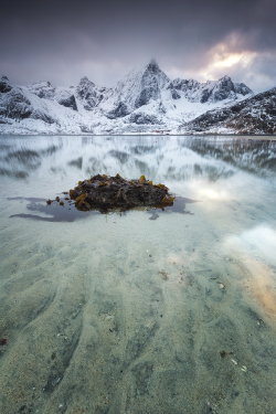 luxuryera:  Lofoten Peaks | Source