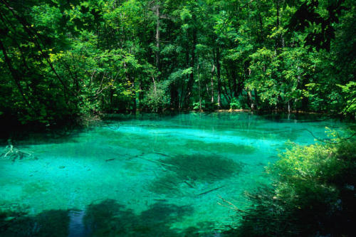 welcome-to-the-stressless-zone: National Park Plitvice lakes - Croatia