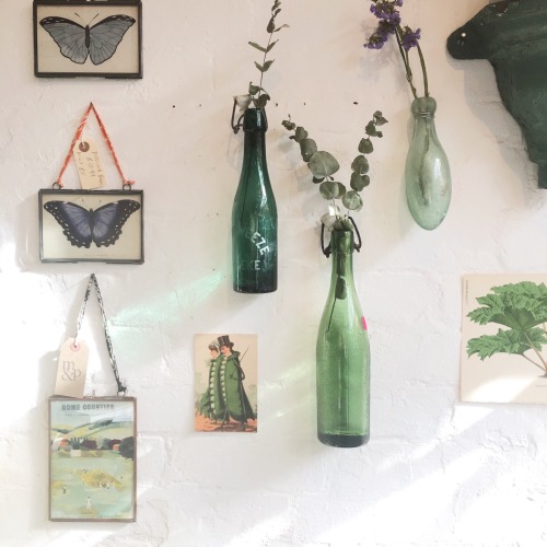 coqillage:columbia road flower market