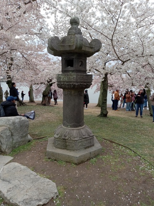 Spring Has Sprung.