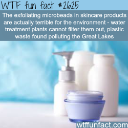 wtf-fun-factss:  Skincare products terrible