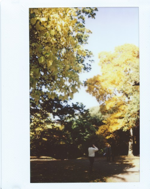 Blackheath / Greenwich Park, 2nd November 2016 | instax{see captions for locations]fred postles