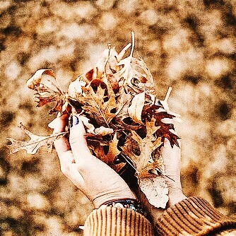 aaesthetic-angel: Autumn moodboard 