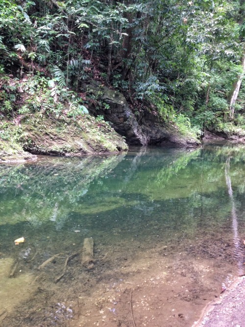 theeyeoftroy:Mermaid Pool, Matura, Trinidad. Copyright 2016 Troy De Chi. All rights reserved.
