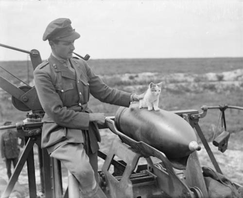 pipballantine: ryanshistoryblog: “An officer of 444 Siege Battery, Royal Garrison Artillery (R