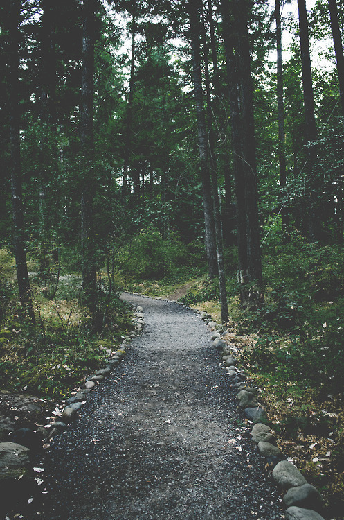 lost-moonlight:  Tumblr on We Heart It - http://weheartit.com/entry/92705011
