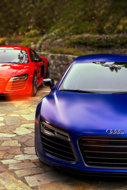 johnny-escobar:  Matte Blue x Gloss Red Audi R8’s 