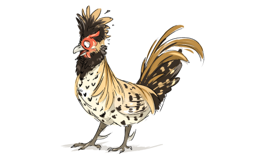 thinkin ‘bout those chickems