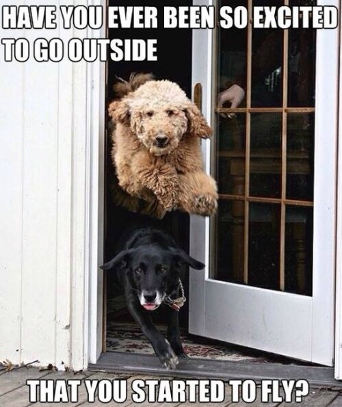 memecollection:  For more funny posts click HERE!