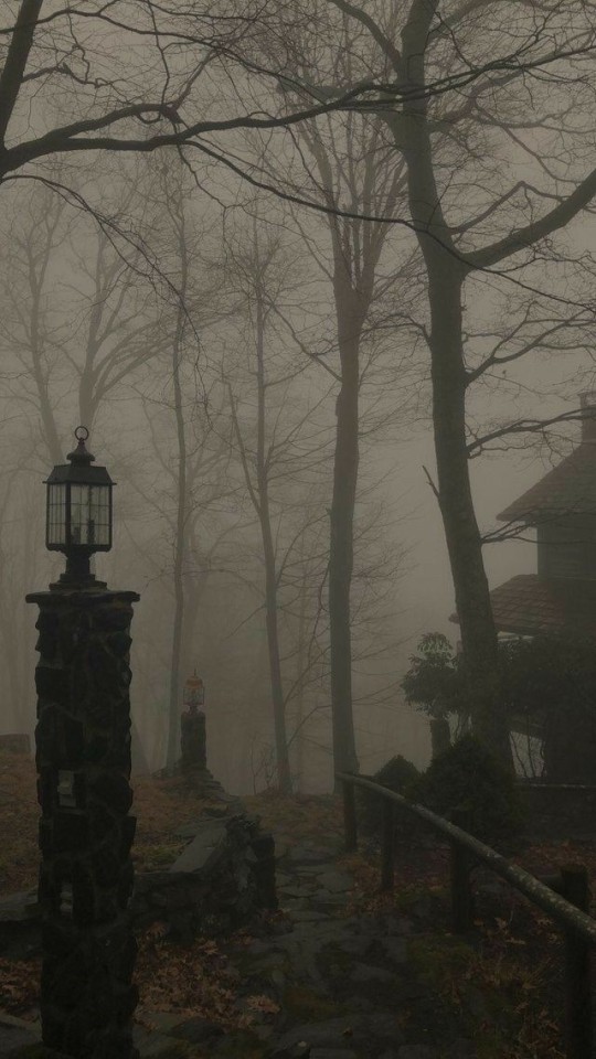 Dark Aesthetic