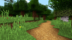 minecraftgifs:   Snapshot 15w31A: Grass Path