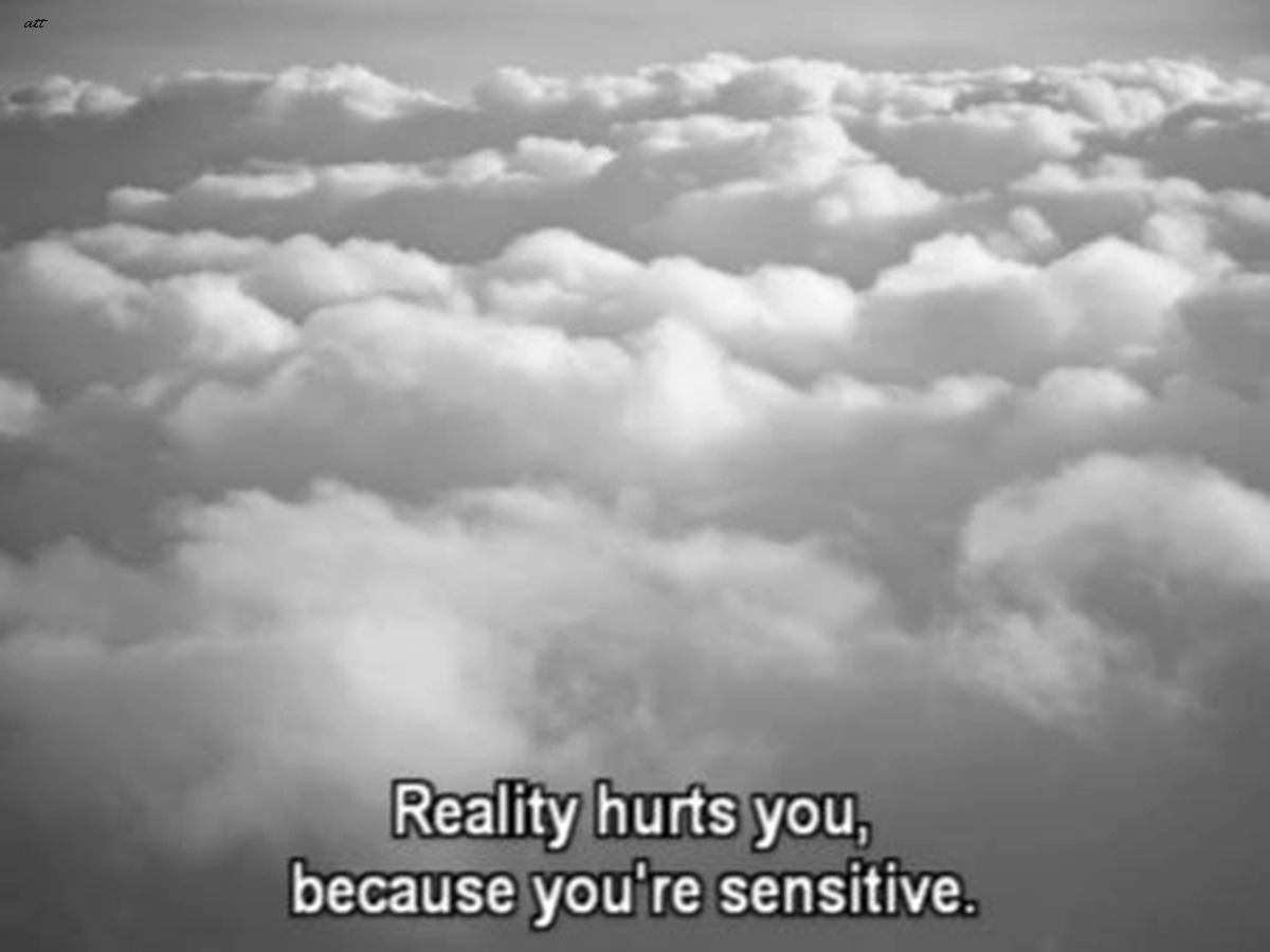 Even in my bravest moment, I am a coward.