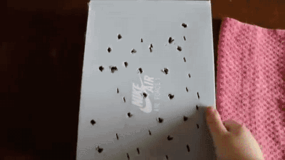 jaidefinichon:Tortoise Unboxing. [video]