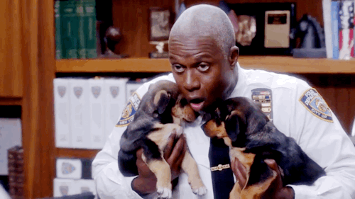 ororo-munr0e:LGBT Meme: [4/5] gay/lesbian characters → Raymond Holt ”When gay marriage was legalized