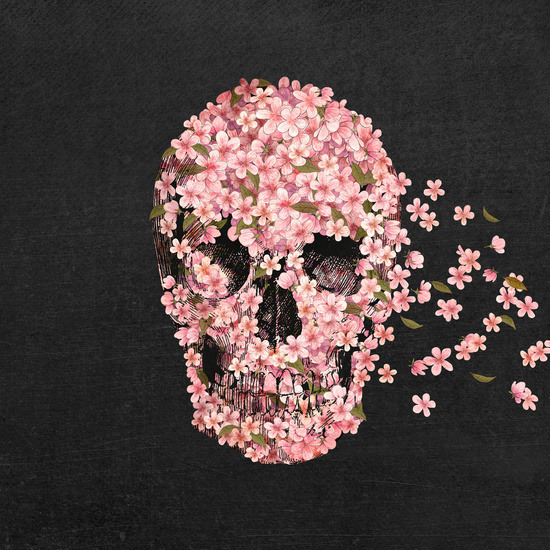 bestof-society6:    ART PRINTS BY TERRY FAN  Memento Mori A Beautiful Death Navajo