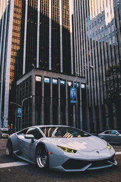 souhailbog:    NYC   By Gabe Design   | More  