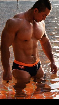 SPEEDOS