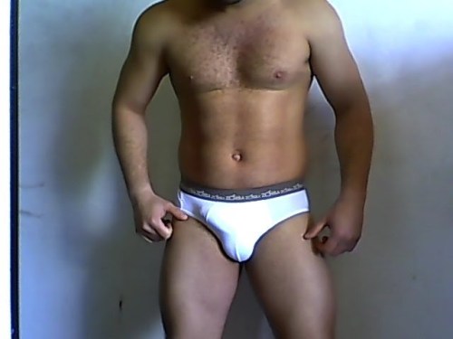 Gordo Underwear