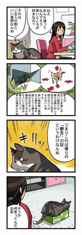 maido3:  吹いた画像を貼るのだ『驚異のメイクで大変身』:哲学ニュースnwk