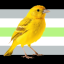 canary-onfire