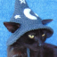senkitty