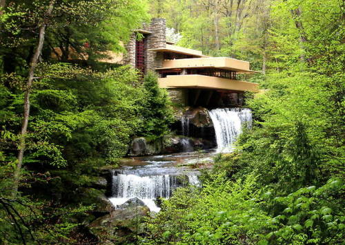 franklloydwrightfan: Happy World Photography Day! Photogenic Wright. Chef-d’œuvre architectural