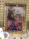 shiftythrifting: adult photos