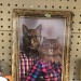 Porn Pics shiftythrifting: