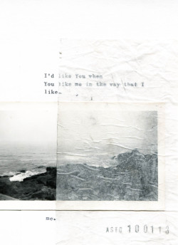 nearlya:Anita Sto -  Leftflowers  2013 - Typed words and photograph on card