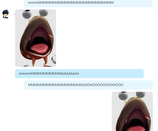puniper:  ‘what do you even talk about with people online so much?’ 