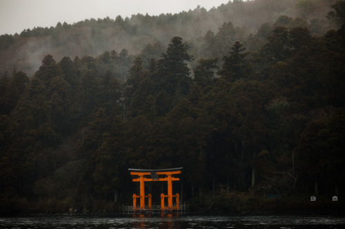 hakone in the rain - march 2019