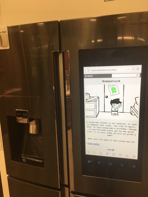 literallyn01imp0rtant:The American dream is buying a Samsung Smart Fridge just to read Homestuck on 