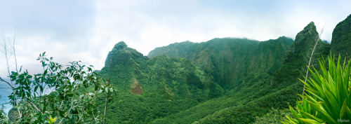 matsography:  Hanakoa Valley Kauai, Hawaii 2014
