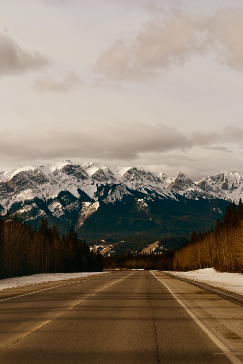 waittilthesunshines:  My weekend: Jasper National Park