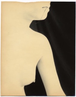 afroui:   Masao Yamamoto 