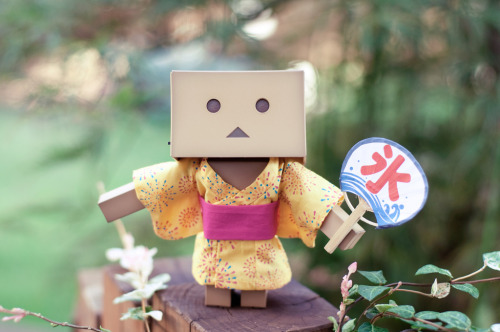 Danboard